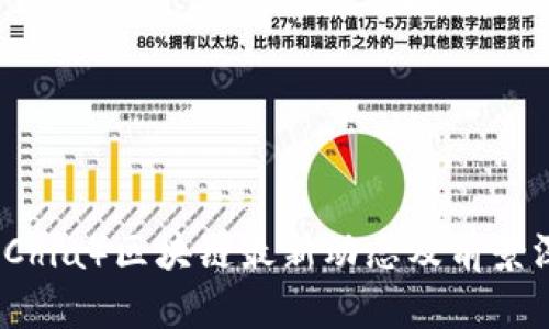 奇亚币(Chia)区块链最新动态及前景深度解析