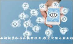 全面解析虚拟币区块链项目：投资价值与未来趋