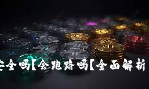 TPWallet安全吗？会跑路吗？全面解析与风险评估