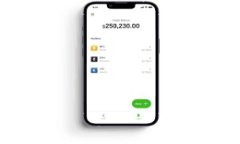   狗狗币与TPWallet的结合：数字资产在新平台上的