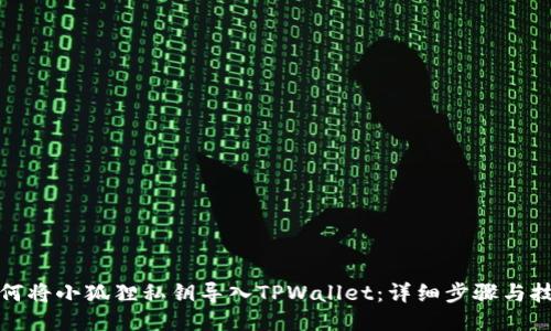 如何将小狐狸私钥导入TPWallet：详细步骤与技巧