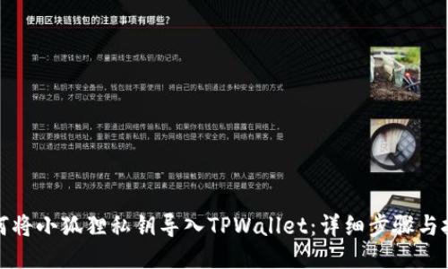 如何将小狐狸私钥导入TPWallet：详细步骤与技巧