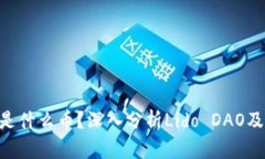 区块链LDO是什么币？深入分析Lido DAO及其潜在价值