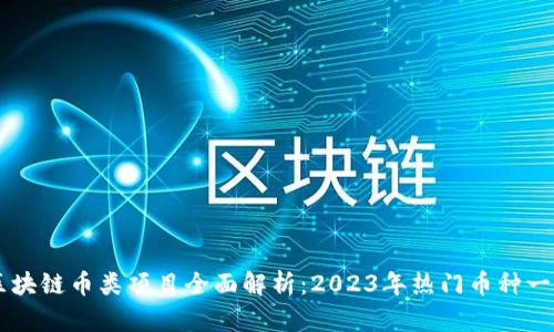 区块链币类项目全面解析：2023年热门币种一览