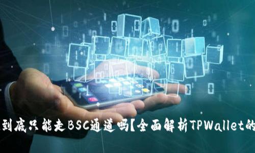 TPWallet到底只能走BSC通道吗？全面解析TPWallet的多链支持