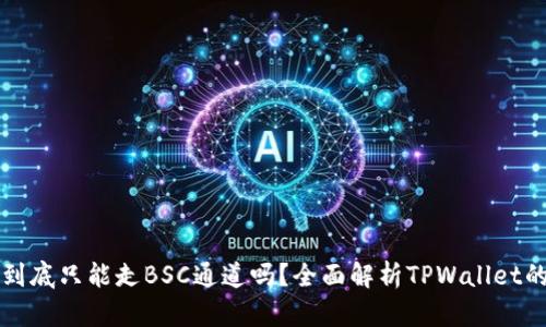 TPWallet到底只能走BSC通道吗？全面解析TPWallet的多链支持