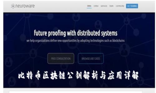 比特币区块链公钥解析与应用详解