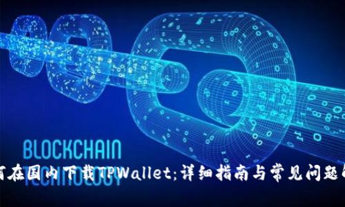 如何在国内下载TPWallet：详细指南与常见问题解答