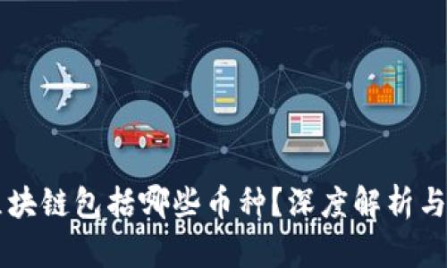 真正的区块链包括哪些币种？深度解析与趋势展望