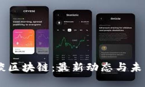 马云谈区块链：最新动态与未来展望