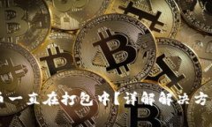 TPWallet提币一直在打包中？详解解决方案与常见问