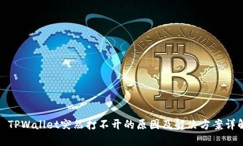 : TPWallet突然打不开的原因及解决方案详解