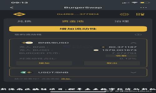 最新海南区块链项目：探寻未来数字经济的新机遇