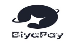 如何将屎币提到TP Wallet：详细操作指南