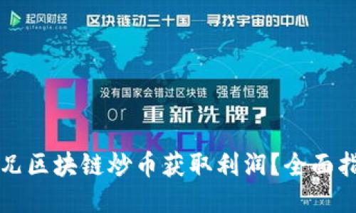 如何通过大师兄区块链炒币获取利润？全面指南及技巧分享