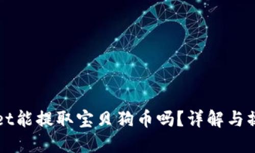 TPWallet能提取宝贝狗币吗？详解与操作指南