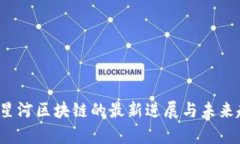 2023年星河区块链的最新进展与未来趋势分析