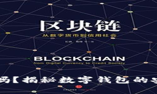 TPWallet上征信吗？揭秘数字钱包的安全性与用户隐私