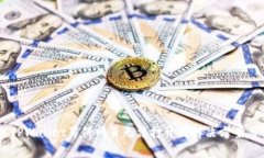 手机TPWallet薄饼网页无法打开的解决方案与解析