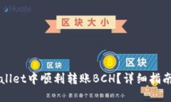 如何在TPWallet中顺利转账BCH？详细指南与技巧分享
