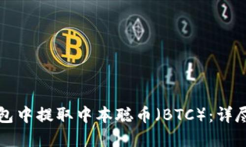 如何在TP钱包中提取中本聪币（BTC）：详尽步骤与技巧