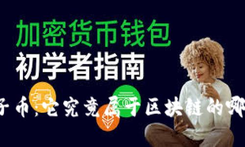探秘柚子币：它究竟属于区块链的哪个分支？