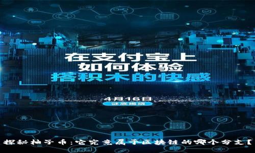 探秘柚子币：它究竟属于区块链的哪个分支？