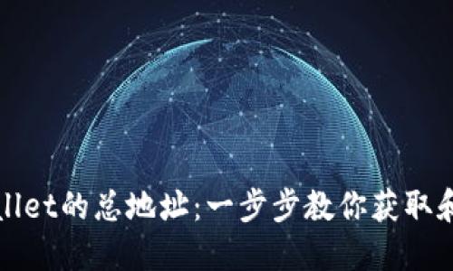 如何查看TPWallet的总地址：一步步教你获取和管理光明之路