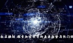 币极区块链：探索加密世界的未来趋势与热门动