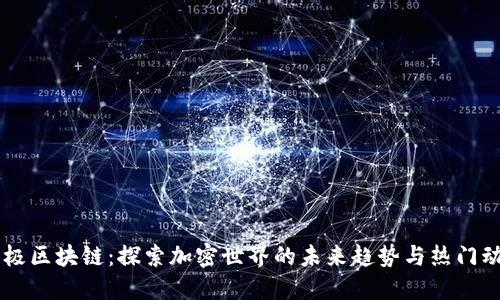 币极区块链：探索加密世界的未来趋势与热门动态