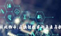 解析比物币：区块链技术的未来与挑战
