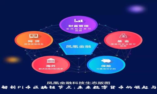 深入解析Pi币区块链节点：未来数字货币的崛起与挑战