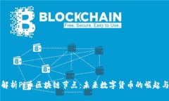 深入解析Pi币区块链节点：未来数字货币的崛起与