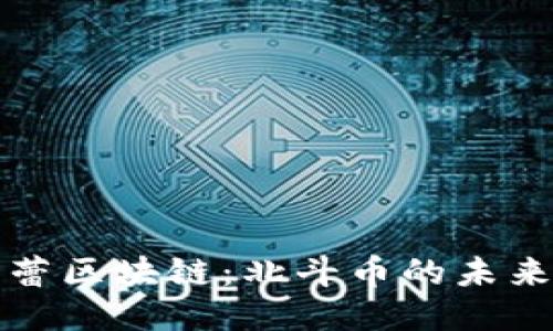 探索张蕾区块链：北斗币的未来与潜力