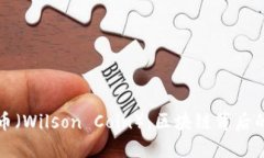 探秘威尔逊币（Wilson Coin）：区块链背后的潜力与