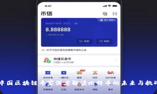 中国区块链专家深度解读比特币的未来与挑战