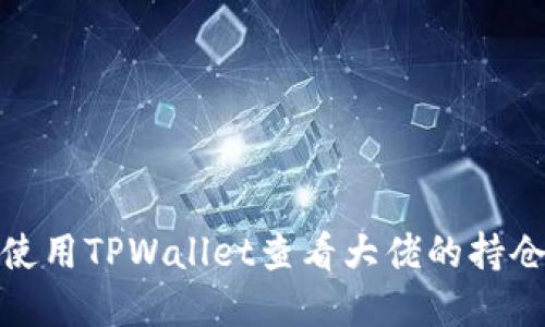 如何使用TPWallet查看大佬的持仓情况