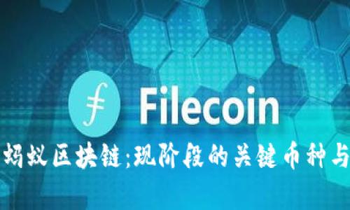 深度解析蚂蚁区块链：现阶段的关键币种与未来趋势
