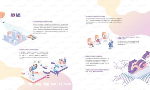 TPWallet跨链转账USDT：安全性分析与用户指南