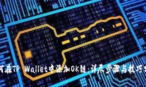 如何在TP Wallet中添加OK链：详尽步骤与技巧分享