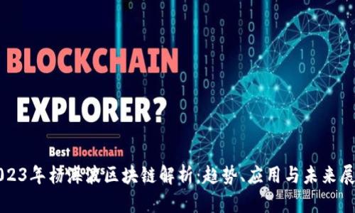 2023年杨海波区块链解析：趋势、应用与未来展望