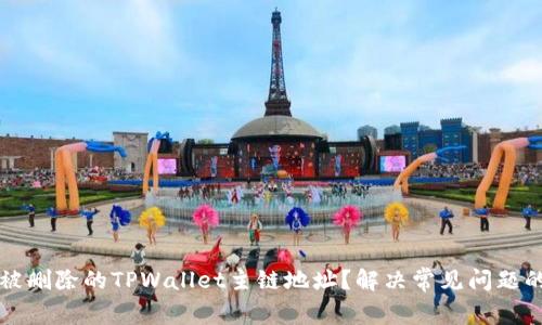 如何恢复被删除的TPWallet主链地址？解决常见问题的全面指南