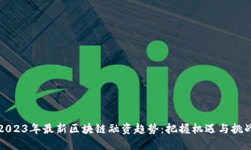 2023年最新区块链融资趋势：把握机遇与挑战