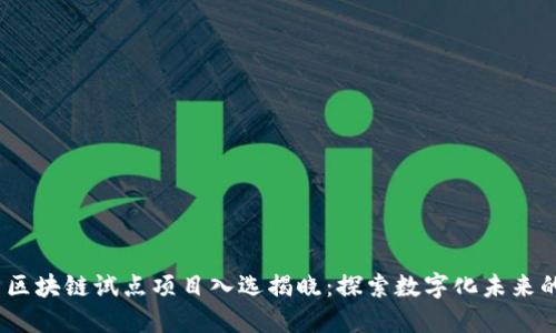 2023最新区块链试点项目入选揭晓：探索数字化未来的先锋之路