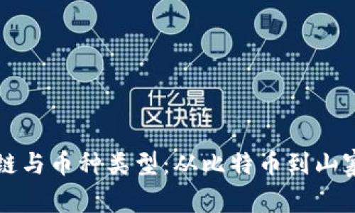 深入了解区块链与币种类型：从比特币到山寨币的全面解析