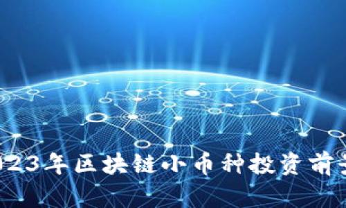 深入解析：2023年区块链小币种投资前景与风险分析
