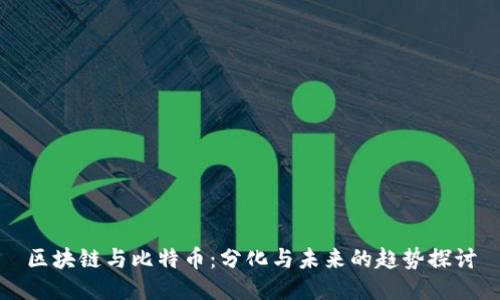 区块链与比特币：分化与未来的趋势探讨