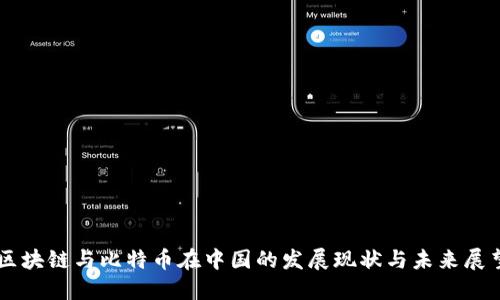 区块链与比特币在中国的发展现状与未来展望
