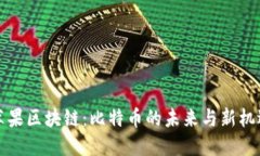 苹果区块链：比特币的未来与新机遇