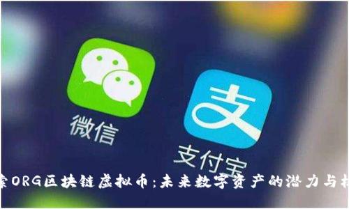 探索ORG区块链虚拟币：未来数字资产的潜力与机遇